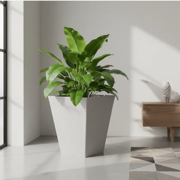 Macetero Venus 55 TERA Italy color Gris Claro — con planta tropical de hojas grandes, interior salón luminoso — bCasual