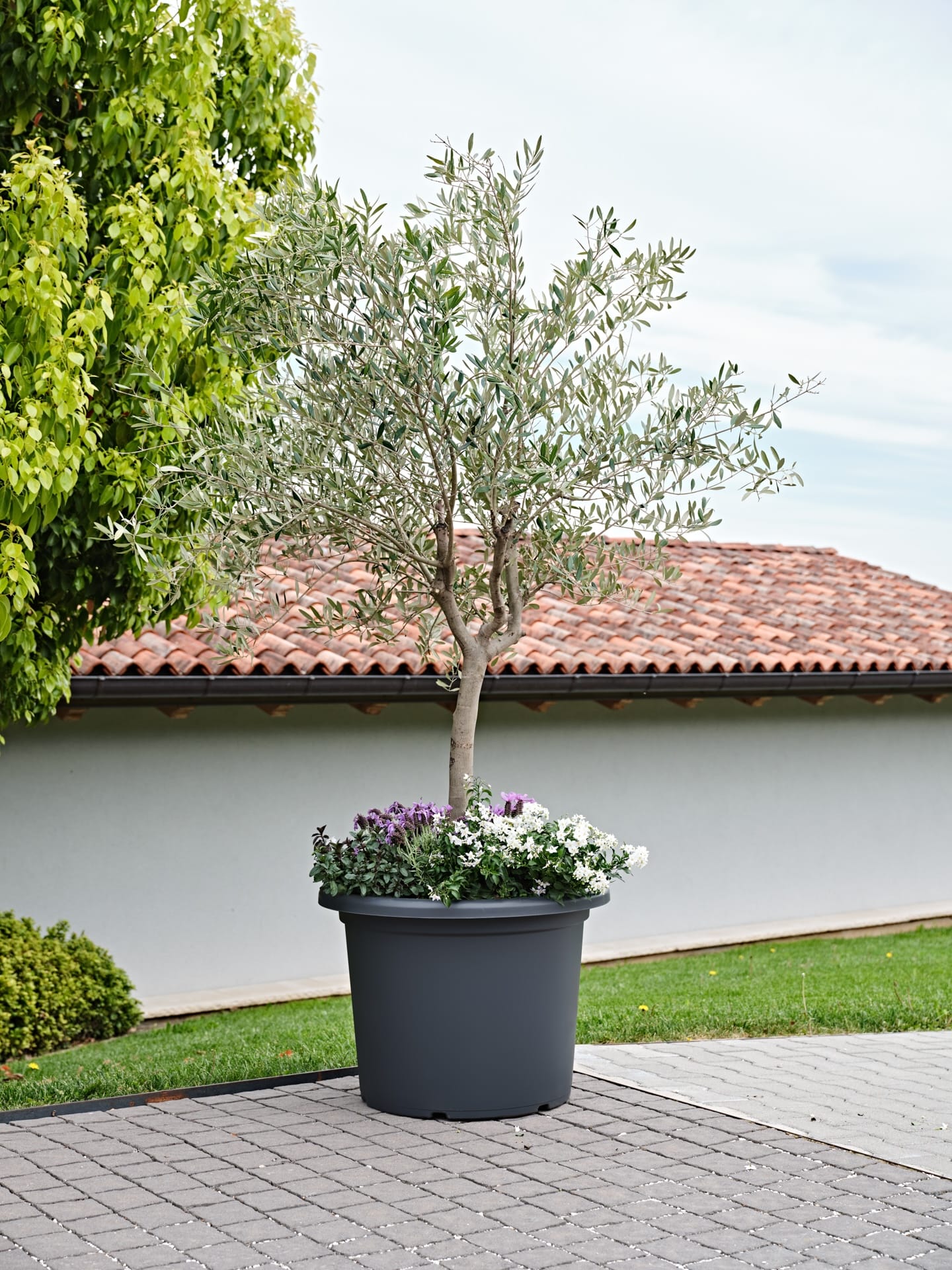 Macetero de Jardin Menfi de TERA Italy | Diseño Italiano y Sostenible - bCasual -33141082005