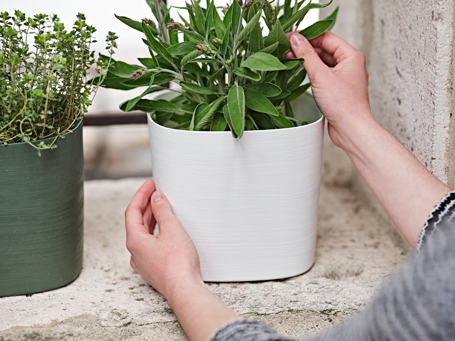 Macetero para Jardin Capri TERA Italia - bCasual -38711038238