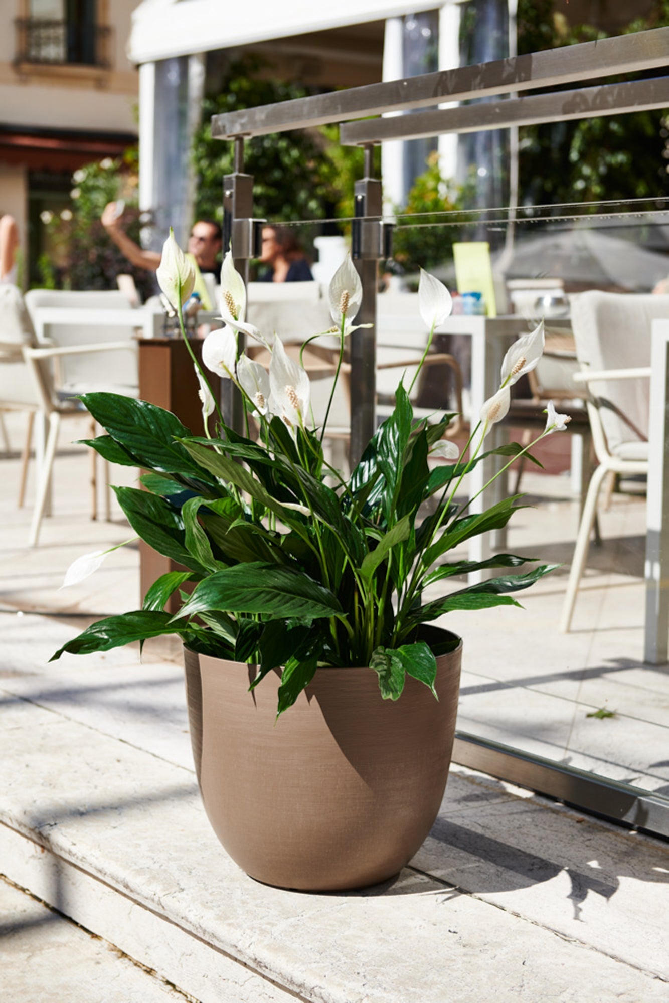 Macetero para Jardin Over - TERA Italy - bCasual -33706048406