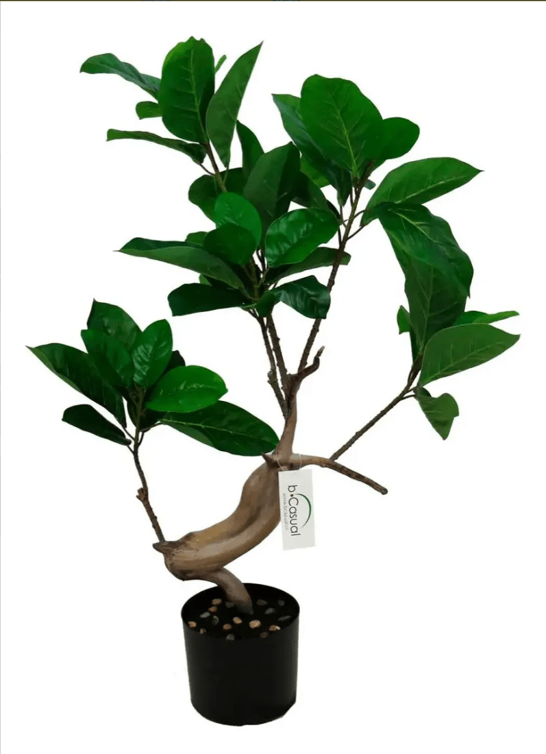 Planta Ficus Artificial 90cm - bCasual -PLA180243-1