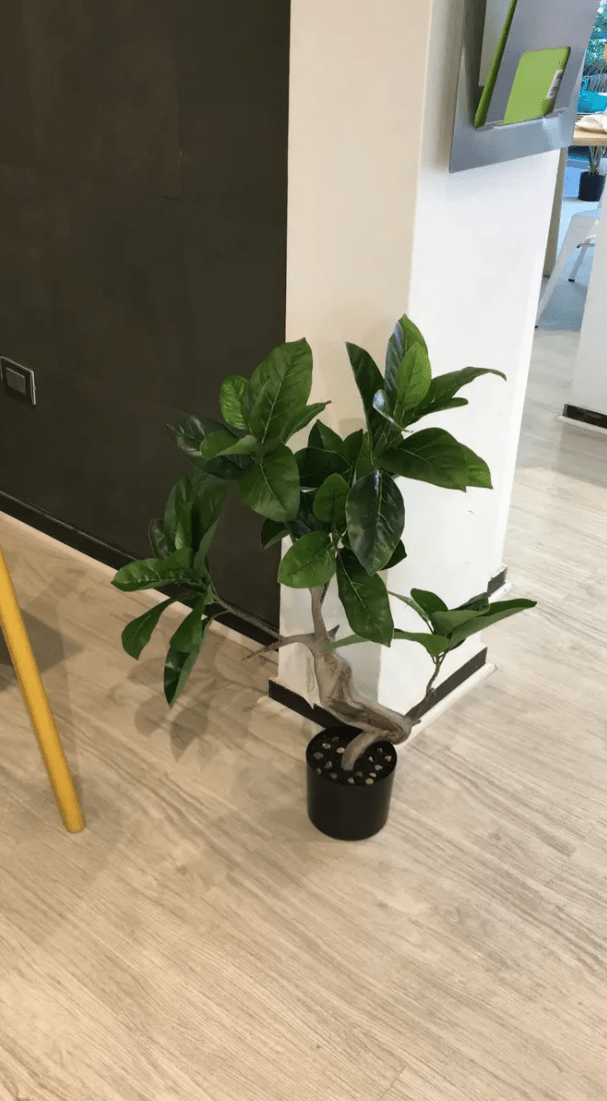 Planta Ficus Artificial 90cm - bCasual -PLA180243-1