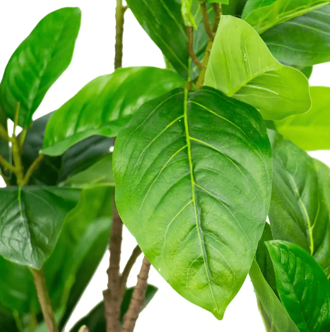 Planta Ficus Artificial 90cm - bCasual -PLA180243-1